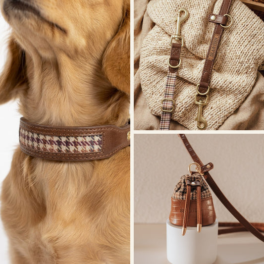 Saddlewood 2.0 Signature Walk Set - Collar, Leash, Pouch
