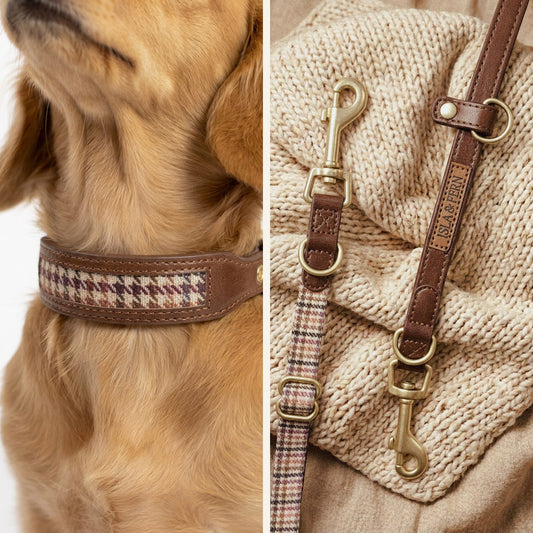 Saddlewood 2.0 Walk Duo Set - Collar, Leash